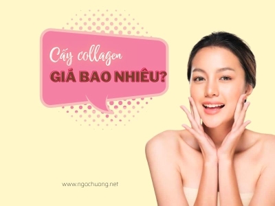 [2023] Cấy Collagen Tươi Bao Nhiêu Tiền? Cập Nhật Mới Nhất