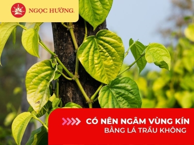 Giải đáp có nên ngâm vùng kín bằng lá trầu không